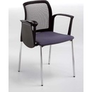 Mayer Class 25C1 RS1/RP1