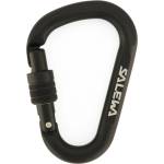 Salewa HMS карабинер Salewa HMS Screw G2 HMS carabiner - Black - размер Small (323-0044-0211)