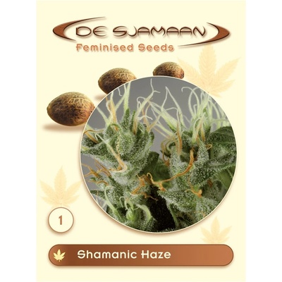 De Sjamaan Seeds Shamanic Haze semena neobsahují THC 3 ks