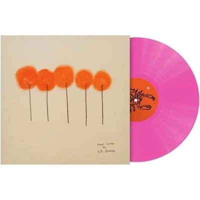 L.S. DUNES - PAST LIVES LP