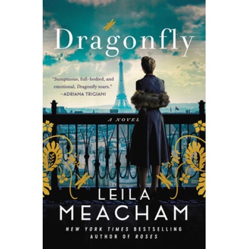 Dragon fly