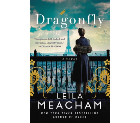 Dragon fly