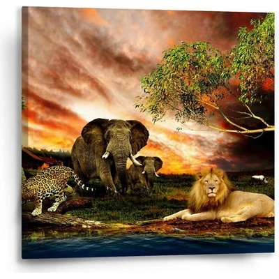 Sablio Obraz Zvířata ze Sahary - 50x50 cm