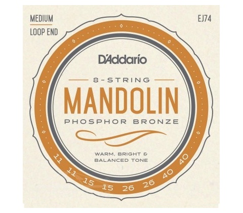 D'addario EJ74