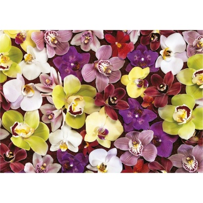EDUCA Koláž z orchidejí 1000 dielov