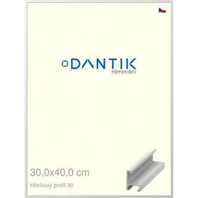 DANTIK rám na obraz 30 x 40 Bílá matná