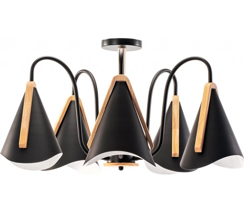 Toolight APP442-CP