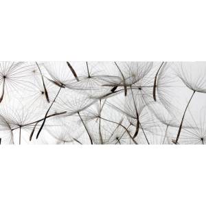DIMEX ART Панорамни флизелинов фототапет пух от глухарче 375 x 150 см