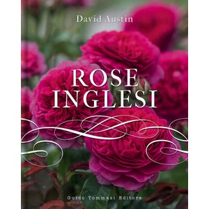 Rose inglesi | David Austin (2020)