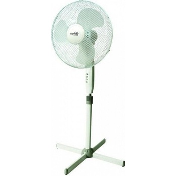 Home SF 40