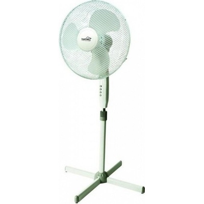 Home SF 40
