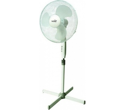 Home SF 40