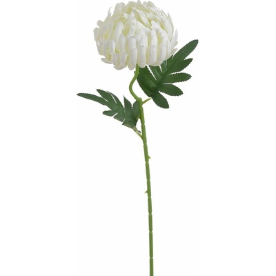 Chryzantéma 50 cm - bílá - krémová