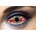 Fashion Lentilles Mesmero sclera 22 mm (FL-081)