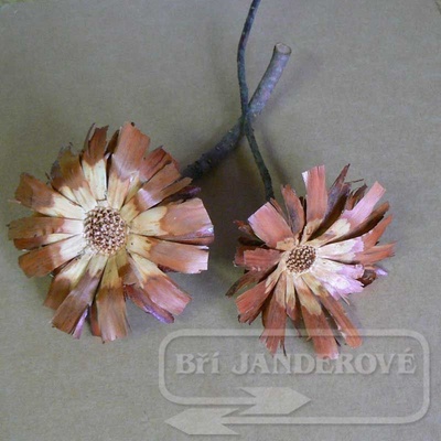 Protea supercut 10-12 cm frosted red /10ks