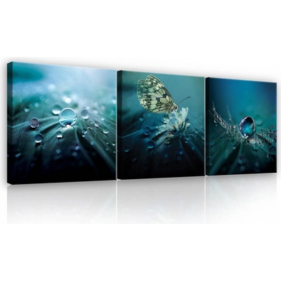 Postershop Obraz na plátně: Motýl s rosou - set 3ks 25x25cm