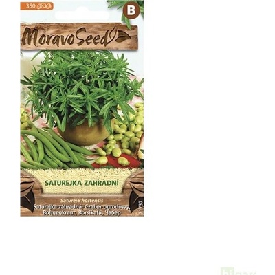Semínka MoravoSeed Saturejka zahradní 71737
