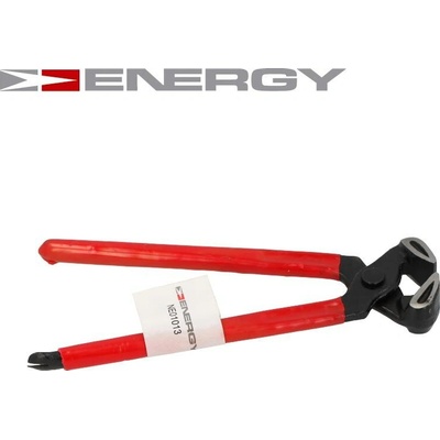 ENERGY NE01013