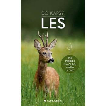 Do kapsy Les