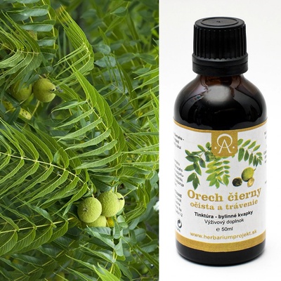 Herbarium Projekt Orech čierny americký očista a trávenie tinktúra 50 ml