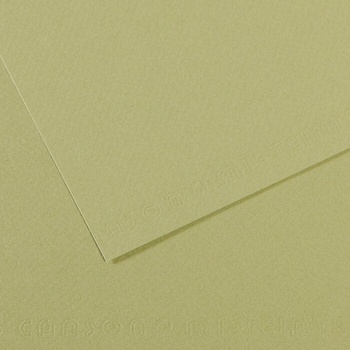 Canson Mi-Teintes 50x65 cm Vert Amande 480 160 g Цветна хартия (C200321164)