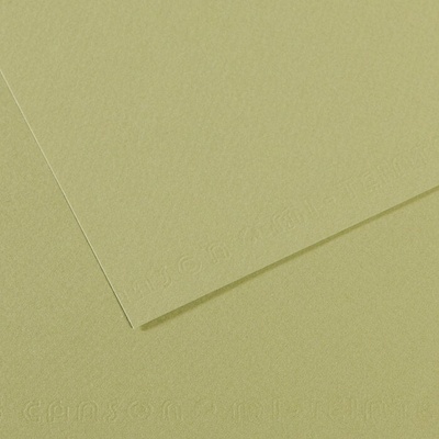 Canson Mi-Teintes 50x65 cm Vert Amande 480 160 g Цветна хартия (C200321164)