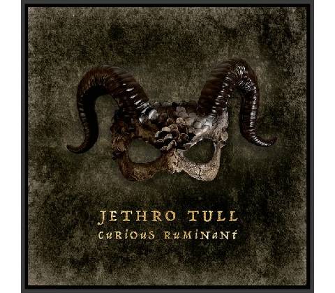 Jethro Tull Curious Ruminant Digipack CD