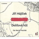 Dešťová hůl