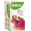 Čaje Biogena FANTASTIC FRUITMIX 4 x 5 sáčků ovocný čaj 42 g