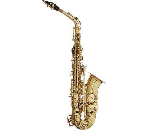 Stagg WS-AS215S