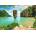 EUROGRAPHICS - Puzzle Save Our Planet Thailand - 1 000 piese
