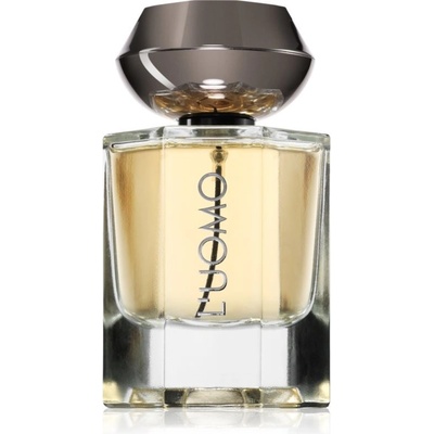 Fragrance World Fw L'Uomo parfémovaná voda pánská 100 ml