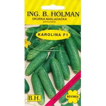 Uhorka nakladačka Holman - Karolína hu F1 2 g