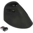Delock 12599
