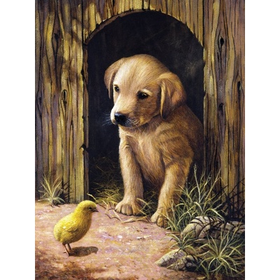 Kreatívny set na maľovanie Šteniatko labradora