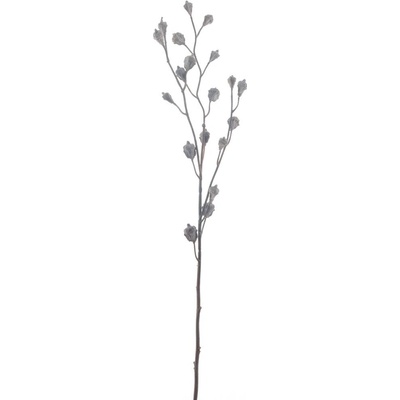 Blahovičník - Eukalyptus malý s pupenem spray hnědý V65 cm