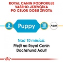 Granule pro psy Royal Canin Dachshund Puppy 1,5 kg