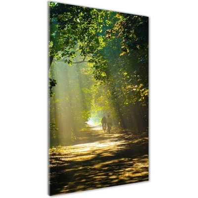 Vertikálny fotoobraz na skle Chodník v lese 50x100 cm