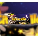 Citrouille