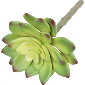 Umelý sukulent lotos Guanyin 13,5 cm