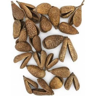 821 Benzo fruit natur 24ks