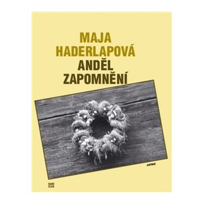 Anděl zapomnění Maja Haderlapová CZ