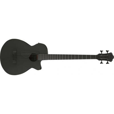 Ibanez AEGB420