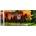 Norimpex - Puzzle Diamant painting: Country 80x40 cm - 1 - 39 piese