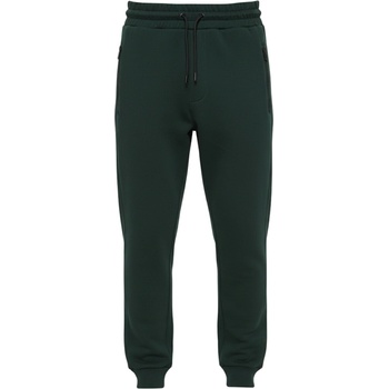 Gaudi Logo Green
