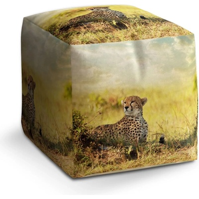 Sablio Taburet Cube Gepard: 40x40x40 cm