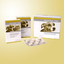 Alfavet HepatoSan 1600 120 tablet