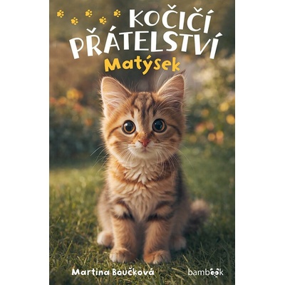 Kočičí přátelství - Matýsek Martina Boučková 2026