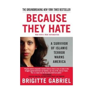 Because They Hate (ISBN: 9780312358389)