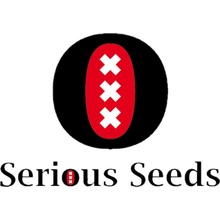 Serious Seeds Motavation regular semena neobsahují THC 11 ks